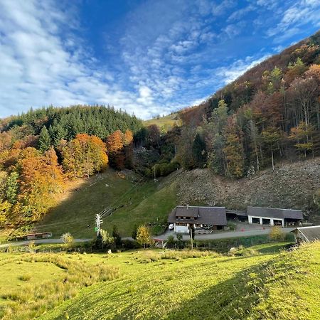 Bauernhaus Im 뮌스테르탈 외부 사진