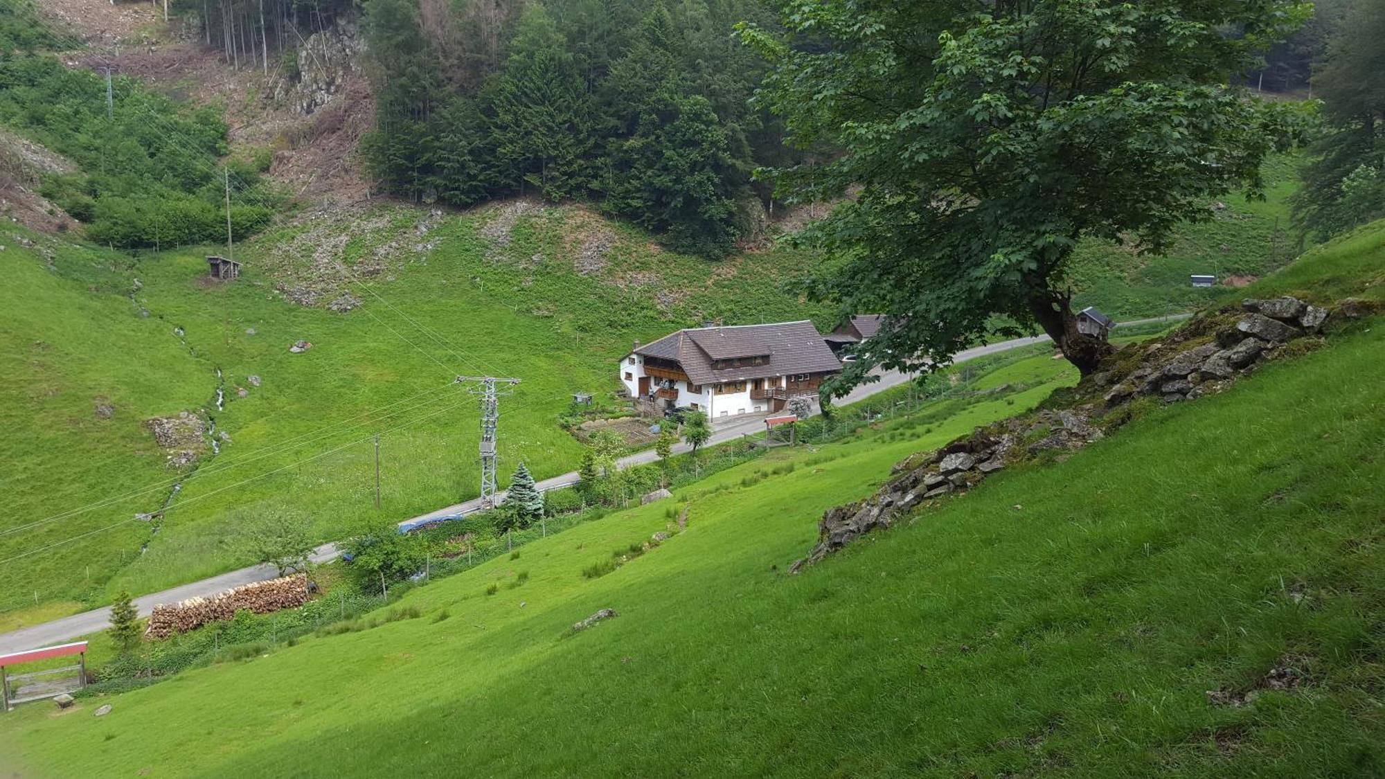 Bauernhaus Im 뮌스테르탈 외부 사진