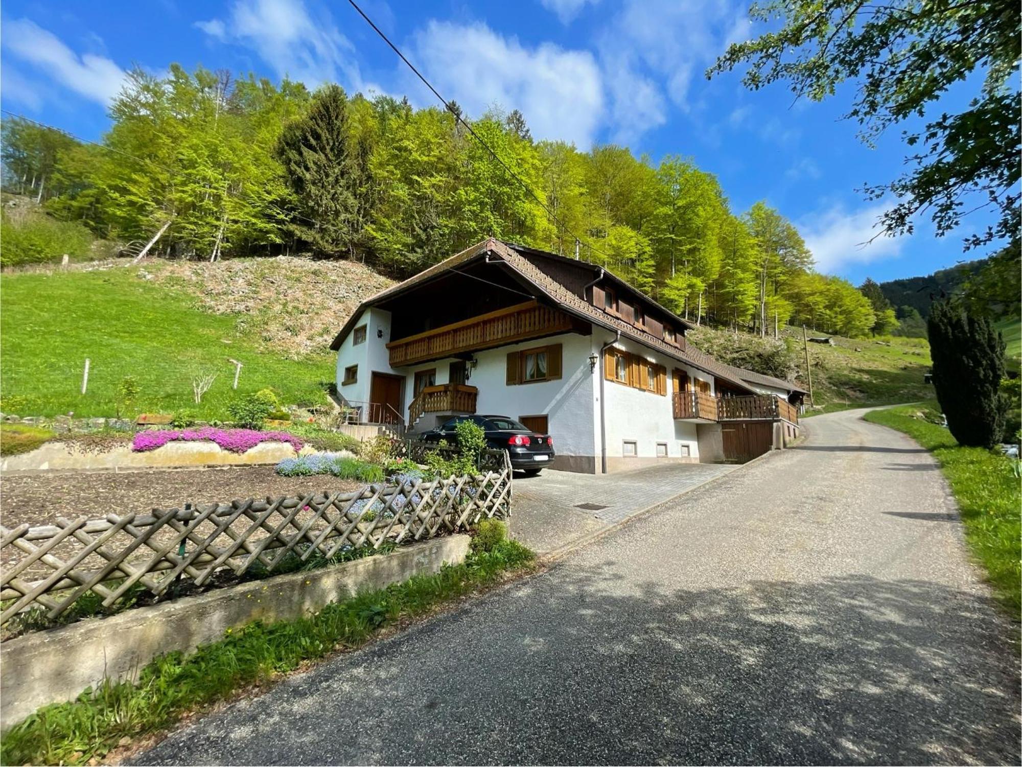 Bauernhaus Im 뮌스테르탈 외부 사진