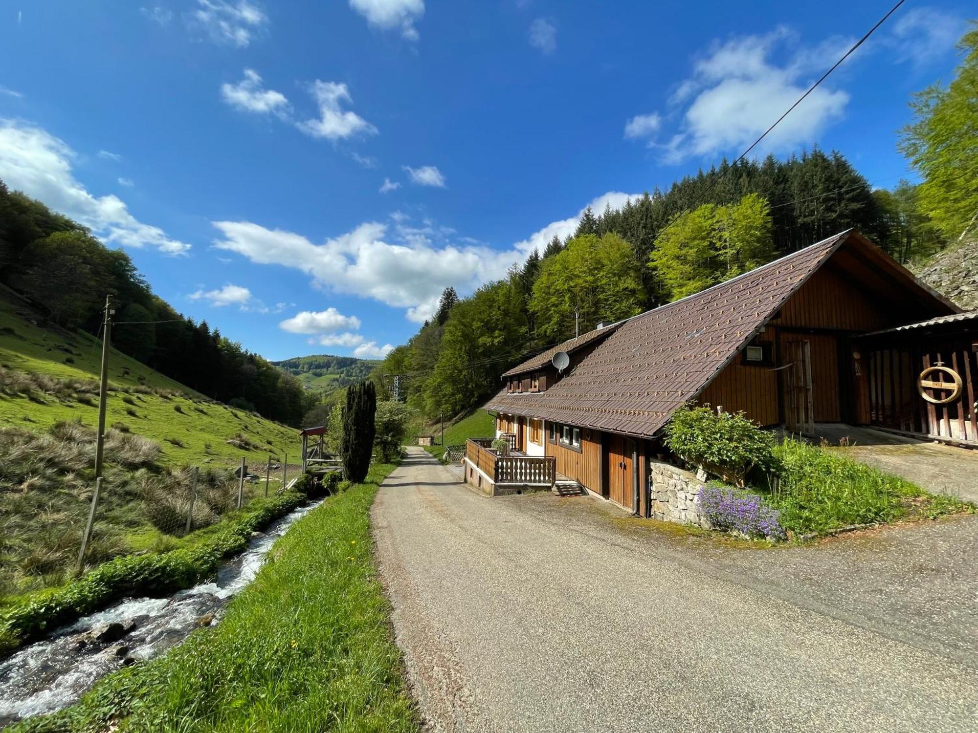 Bauernhaus Im 뮌스테르탈 외부 사진