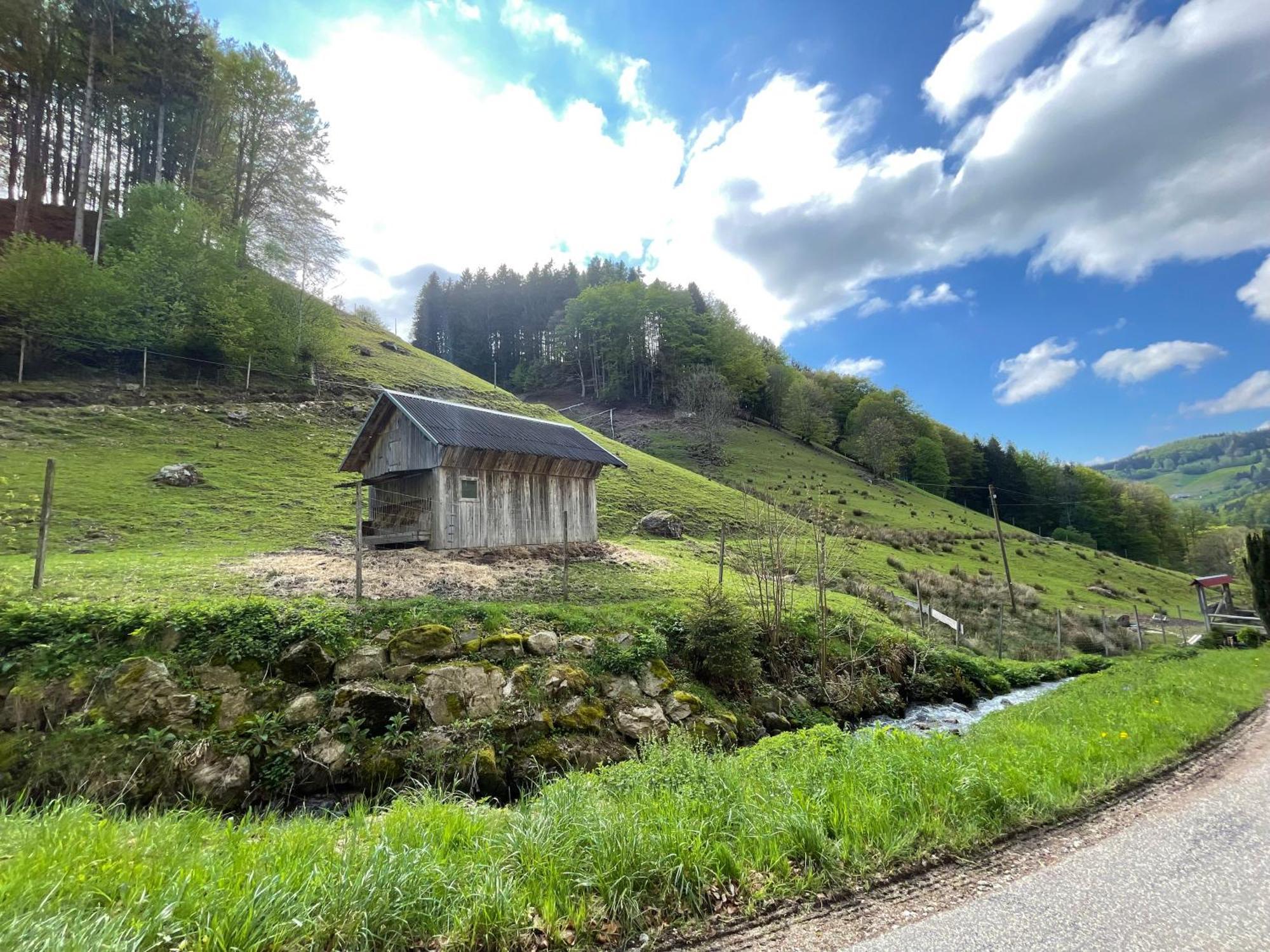 Bauernhaus Im 뮌스테르탈 외부 사진