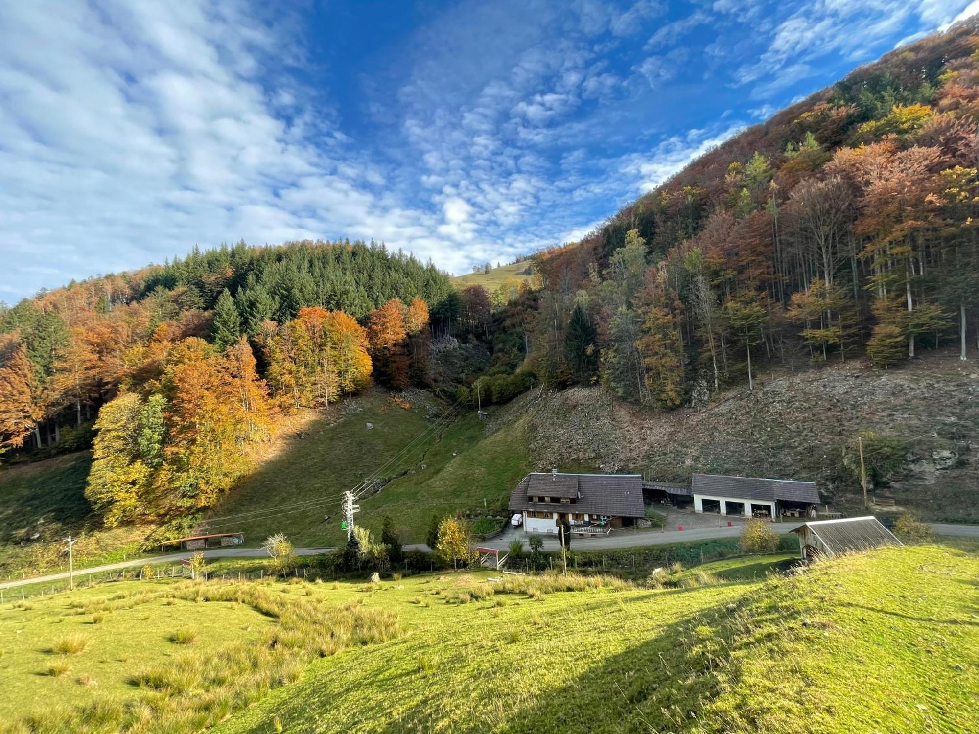 Bauernhaus Im 뮌스테르탈 외부 사진